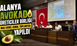 Alanya Avokado Üreticiler Birliği Mali Genel Kurul Toplantısı yapıldı