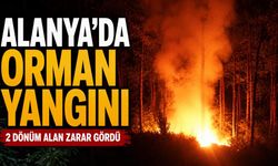Alanya’da orman yangını söndürüldü: 2 dönüm alan zarar gördü