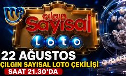 22 Ağustos Çılgın Sayısal Loto çekilişi saat kaçta?