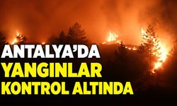 Antalya'da Alanya ve Kaş'taki orman yangınları kontrol altına alındı