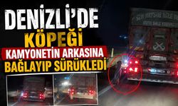 Denizli’de Köpeği Kamyonetin Arkasına Bağlayıp Sürükledi