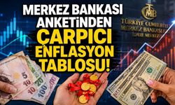 Merkez Bankası anketinden çarpıcı enflasyon tablosu!