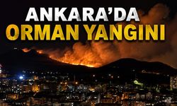 Ankara’da ağaçlık alanda çıkan yangının şüphelisi yakalandı