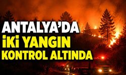 Antalya’da Alanya ve Kaş’taki orman yangınları kontrol altına alındı