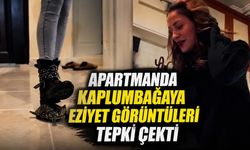 Apartmanda Kaplumbağaya Eziyet Görüntüleri Tepki Çekti