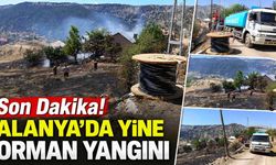 Son Dakika! Alanya'da yine orman yangını