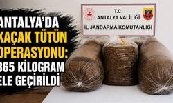 Antalya’da kaçak tütün operasyonu: 365 kilogram ele geçirildi