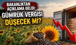 Bakanlıktan açıklama geldi: Gümrük vergisi düşecek mi?