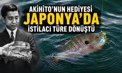 Akihito'nun hediyesi Japonya'da istilacı türe dönüştü