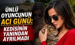 Ünlü oyuncunun acı günü: Kedisinin yanından ayrılmadı