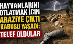 Hayvanlarını otlatmak için araziye çıktı kabusu yaşadı: Telef oldular