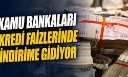 Kamu bankaları kredi faizlerinde indirime gidiyor