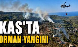 Antalya Kaş'ta orman yangını: 10 hava aracı müdahalede