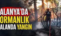 Alanya’da ormanlık alanda yangın