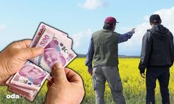 200 binden başlayan fiyatlarla arsalar satışta