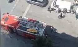 Finike Körfezi'ndeki yapay resiflerde ilk yavrular görüldü