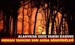 Alanya'da gece yarısı orman yangını! Alevler son anda kontrol altına alındı