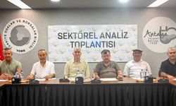 Antalya’da zeytinde bereketli yıl beklentisi: Rekolte yüzde 40 artacak