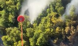 Manavgat’ta orman yangını: Havadan ve karadan müdahale başlatıldı