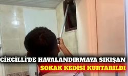 Cikcilli'de bacaya düşen sokak kedisi kurtarıldı