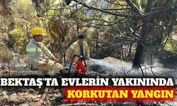 Bektaş'ta yerleşim yerine yakın çalılık yangını