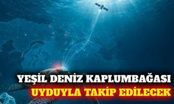 Antalya'da yeşil deniz kaplumbağası uyduyla izlenecek
