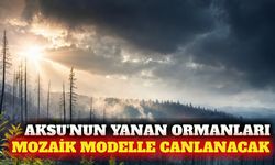Antalya Aksu yangını sonrası ormanlar nasıl yenilenecek?