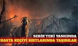 Serik yangınında hasta keçiyi sırtlarında taşıdılar
