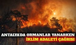 Antalya'daki orman yangınları sonrası iklim adaleti çağrısı