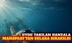 Manavgat'ta uydu takılan Hanzala denize uğurlandı