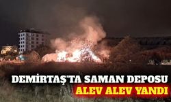 Demirtaş Mahallesi'nde saman deposu yangını