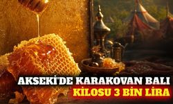 Akseki'de bal festivali: Kilosu 3 bin liraya alıcı buluyor