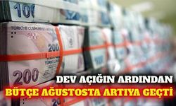 Merkezi yönetim bütçesi ağustosta fazla verdi
