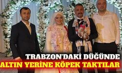 Trabzon'daki düğünde damada altın yerine yavru köpek takıldı