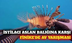 Finike'de aslan balığına karşı av yarışması