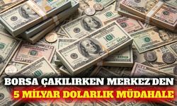 Borsa düşerken Merkez Bankası 5 milyar dolar döviz sattı