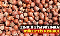 Ticaret Bakanlığı fındık borsalarına müfettiş gönderdi