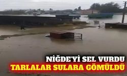 Niğde'de sağanak: Tarım arazileri sular altında kaldı
