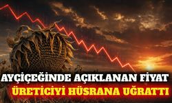 Trakya Birlik'in 37 bin liralık ayçiçeği fiyatına tepki