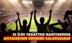 Türkiye'nin taraftar haritası: 81 ilin tuttuğu takımlar