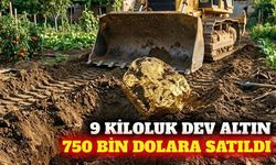 Alaska'da bulunan 9 kiloluk altın 750 bin dolara satıldı