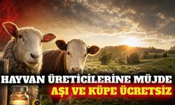 Hayvan aşısı ve kimliklendirme işlemleri ücretsiz oldu
