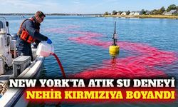 New York'ta atık su takibi için nehir kırmızıya boyandı
