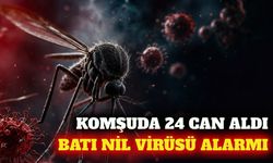 Batı Nil virüsü alarmı: Komşuda 24 ölüm, belirtileri neler