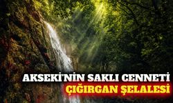 Akseki'de gizli kalmış doğa harikası: Çığırgan Şelalesi