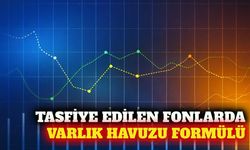 SPK'nın tasfiye ettiği 131 fon için varlık havuzu planı