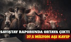 Sayıştay raporu: 37,5 milyon hayvanın aşı kaydı bulunamadı