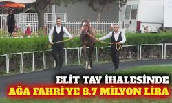 Veliefendi'de elit tay satışı: Ağa Fahri'ye 8.7 milyon lira