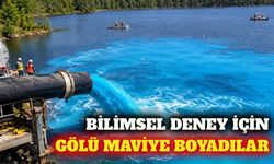 Alg deneyi için gölü maviye boyayıp gübrelediler