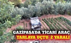 Gazipaşa'da hafif ticari araç tarlaya devrildi: 2 yaralı